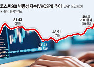 삼전·닉스 레버리지 출시 후 더 뛴 공포지수…VKOSPI 올해 평균보다 37%↑
