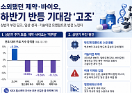 바닥 찍은 바이오株, 하반기엔 달릴까⋯기술이전 앞세워 반등 기지개