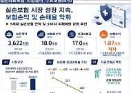 지난해 실손보험 적자 다시 확대⋯2500억원 더 늘어