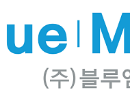 블루엠텍, 10억원 규모 자사주 취득…“주주가치 제고”