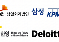 국회·법원·국민연금서 수습 길 열렸지만… 경력 불안감 해소책 필요[CPA 미지정 잔혹사]③