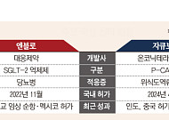 잘 키운 K-신약, 성과 확대 ‘가속’