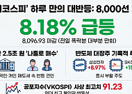 8160→7484→8096 '롤러코스피'…코스피 역대 최대 상승인데 공포지수도 사상 최고