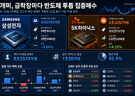 조울증 장세서 삼전·SK하닉만 7조 산 개미…단기 성과는 엇갈렸다