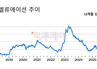 스페이스Xㆍ삼성ㆍSK하이닉스⋯왜 밈 주식 됐나 <블룸버그>