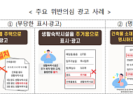 국토부, 생활숙박시설 허위광고 315건 적발⋯“전입 가능” 문구도 제재