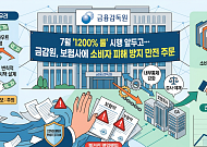 7월 '1200%룰' 시행 앞두고…금감원, 보험사에 소비자 피해 방지 만전 주문