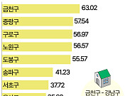 '영끌'은 외곽에 몰렸다…금천구, 대출 의존도 서울 최고 [데이터클립]