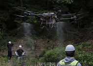 '러브버그 잡아라' 불암산에 살수드론 투입 [포토]