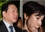 최태원·노소영 '세기의 재산분할' 파기환송심, 내달 24일 결론 [종합]