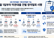 금감원 "7월부터 보험 약관대출도 '건별 청약철회' 된다"