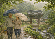 비 오는 날의 화려한 외출