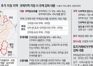 집값 뛰면 뒤따라 포위…남은 비규제지역도 사정권 [6.30 대책]