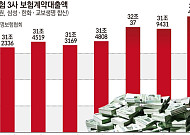 보험계약대출 규모 확대…생보사로 몰리는 ‘빚투-급전’ 수요