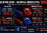 SK하이닉스 레버리지 ETF, 일주일 새 반토막…삼전도 40% 손실
