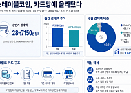 카드망에 올라탄 스테이블코인⋯크립토 카드 ‘접점 경쟁’ 본격화