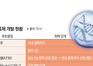 국산 CAR-T 치료제 개발 경쟁 본격화…‘림카토’ 이을 신약은[차세대 K-신약②]