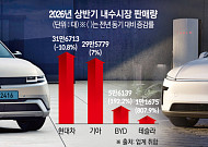 테슬라·BYD·지커 '중국산' 삼각공세…안방 車 시장 흔든다