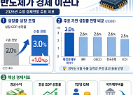 AI·반도체가 성장 견인…정부, 올해 3.0% 성장 전망 [하반기 경제전략]