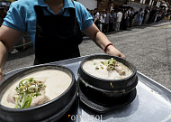 '초복' 북적이는 삼계탕 음식점 [포토]