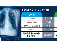 허가 경쟁 끝…생성형AI 의료기기, 이제 상용화 경쟁