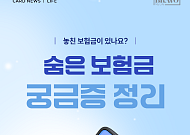 [카드뉴스] 놓친 보험금 없을까, 숨은 보험금 찾는법