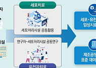 '줄기세포 원정치료' 국내서 검증⋯안전성 등 확인되면 국내서 치료