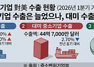 관세 재편에 수출 中企 채산성 악화 우려 [관세 리셋, 美 301조의 경고]