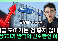 삼성SDI, ESS 성장 수혜 기대⋯“2차전지 분할 매수 유효” [찐코노미]