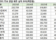 드림시큐리티, 본업 적자·부채비율 300% 돌파 속 0% 금리 250억 CB 발행