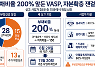 ‘부채비율 200%’ 규제 심사대…경고등 켜진 VASP 자본확충 잰걸음
