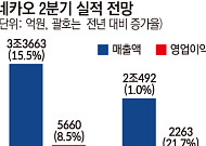 외형 지킨 네이버ㆍ내실 다진 카카오, 2분기 나란히 호실적…하반기 AI 진검승부