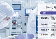 주52시간 특례, 메가특구법서 부활하나…“반도체특별법 담겨야” [족쇄 못 푼 초격차]