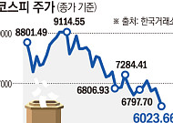 CXMT 재채기에 삼전·하이닉스 ‘추락’…장중 6000선 붕괴[中 반도체 공포 덮친 증시]