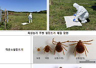 백신·치료제 없는 SFTS, 지난해 환자 65% 급증…축사 ‘진드기 경보’