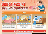 폭염에 가축 36만마리 폐사…정부, 예방비 41억 추가 투입