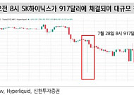 SK하이닉스 1주 하한가… NXT 이상 거래에 800억원대 파생 상품 청산