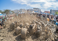"보령머드축제 바가지 잡는다"…정부, 축제 현장 집중 점검