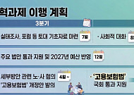 자발적 이직자 구직급여 도입…"일반 구직급여보다 적게"