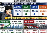 美 오를 땐 찔끔, 내릴 땐 와르르…엇박자 커진 K-반도체