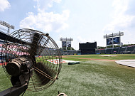 오늘 KBO 긴급 실행위원회, 주말도 폭염취소 될까