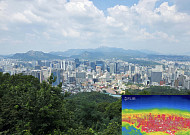 39도까지 치솟는다⋯수도권ㆍ광양 폭염중대경보 [날씨]