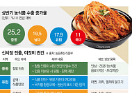 중동ㆍ유럽ㆍ남미 입맛 잡은 한식⋯지속성장 열쇠는 ‘현지화’ [K-Food+ 수출 새판 짜기②]