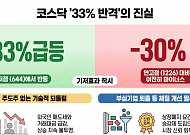 "33% 뛰어도 본전 멀었다"…코스닥 '기저효과' [코스닥의 반격③]