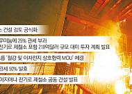 철강동맹으로 50% 관세장벽 넘는다…美 생산 승부수 [현대차·포스코, 현지화 생존법]