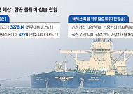 호르무즈 막히자 해상·항공 물류비 동반 상승…기업 수출 덮친 ‘이중고’