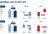 더네이쳐홀딩스, 상반기에만 27억 적자 …해외 영토 넓혀 반전 노린다