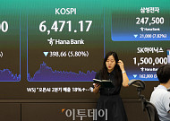 씨티, 내년 국고채 211조 발행…“미래대응기금에 감소폭 제한”