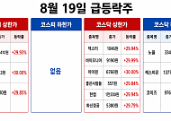 [급등락주 짚어보기] SHD 3연상·인디에프 2연상…남북경협주 강세도 지속