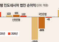 인니서 ‘하나’만 웃었다…KB·신한銀 지주체제로 돌파구